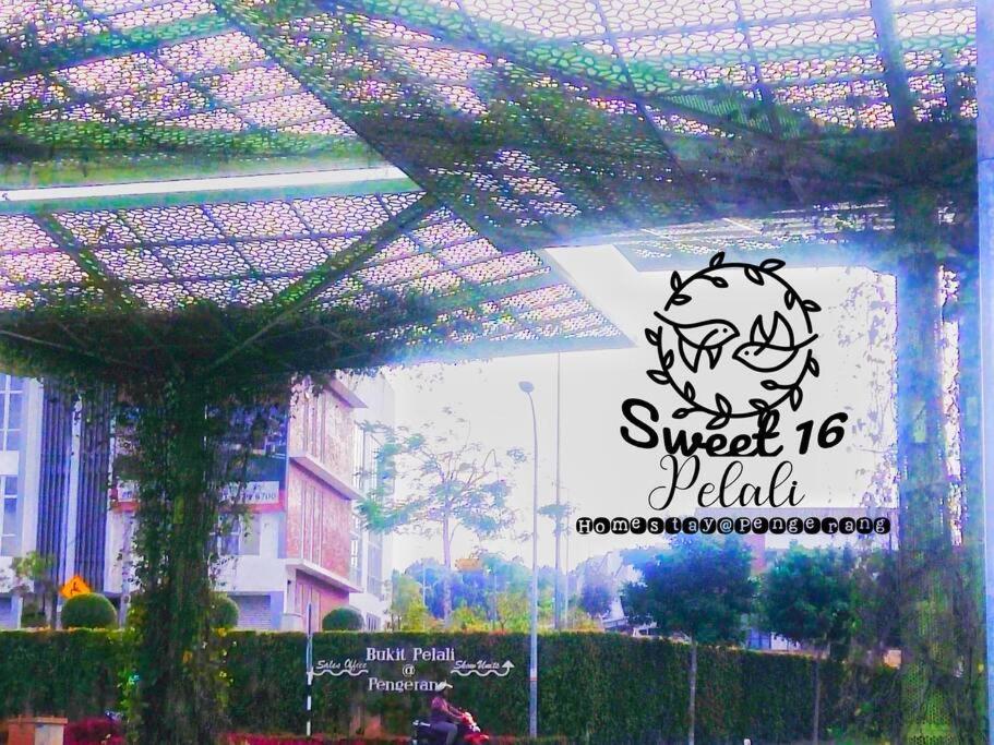 Sweet 16 Pelali Homestay ペンゲラン エクステリア 写真