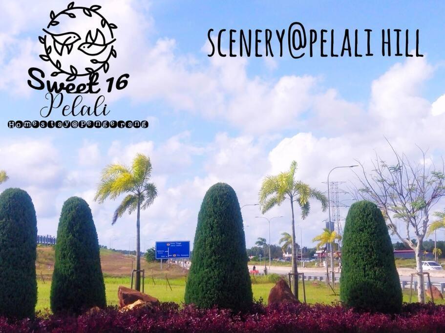 Sweet 16 Pelali Homestay ペンゲラン エクステリア 写真